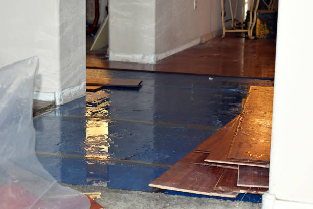 Professional Basement Flood Cleanup technician working in Belmont, MI